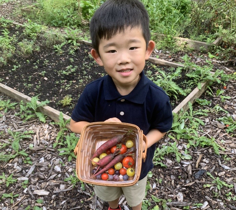 A Glenview New Church School pre k and kindergarten aged student holding a basket of vegetables collected from the schools garden
